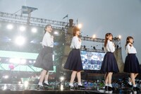 欅坂46「欅共和国2019」の様子。（撮影：上山陽介）