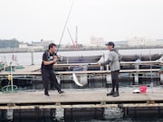 左から加藤浩次、山口一郎（サカナクション）。(c)日本テレビ