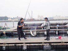 左から加藤浩次、山口一郎（サカナクション）。(c)日本テレビ