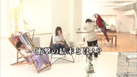 東村芽依、松田好花、渡邉美穂による「はじめてペットシッターやってみた」のワンシーン。