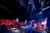 SCANDAL「SCANDAL TOUR 2019 "Fuzzy Summer Mood"」Zepp Tokyo公演の様子。（撮影：ヤオタケシ）