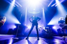 女王蜂（撮影：森好弘）