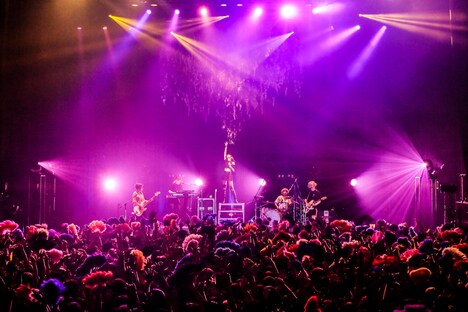 女王蜂（撮影：森好弘）