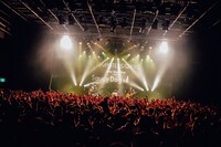 Saucy Dogのライブの様子。（撮影：日吉"JP”純平）