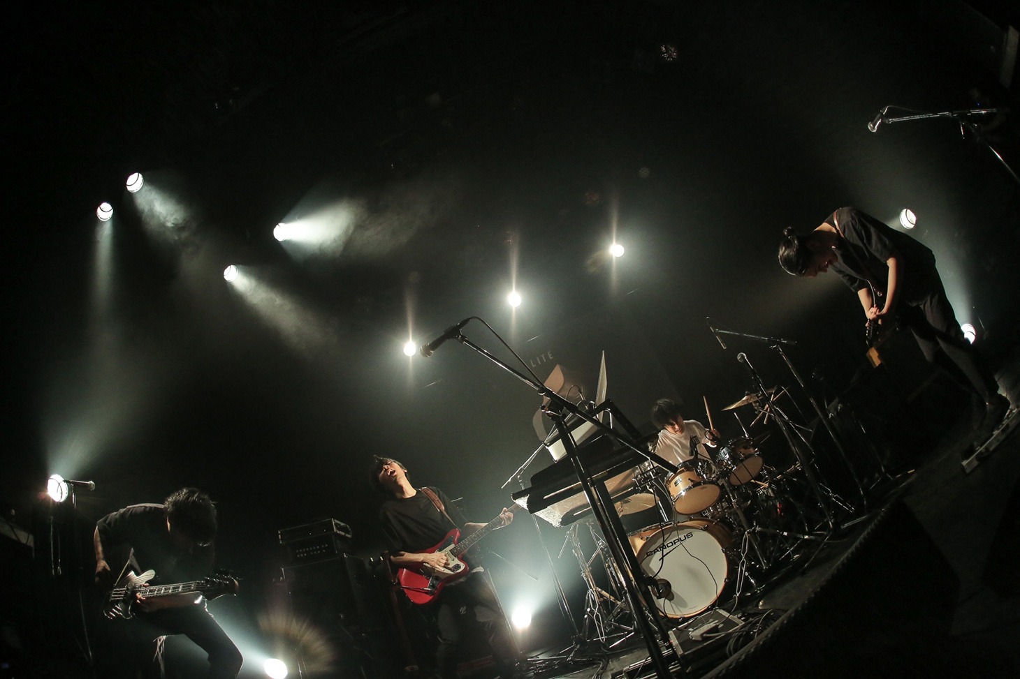 LITE（Photo by Saru）