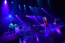 「パスピエ TOUR 2019 "more You more"」東京・Zepp Tokyo公演の様子。（撮影：鈴木恵）