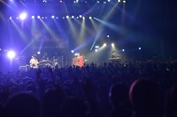 「パスピエ TOUR 2019 "more You more"」東京・Zepp Tokyo公演の様子。（撮影：鈴木恵）