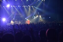 「パスピエ TOUR 2019 "more You more"」東京・Zepp Tokyo公演の様子。（撮影：鈴木恵）