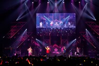 The Dirty Dawg（from「ヒプノシスマイク -Division Rap Battle-」）（写真提供：キングレコード）