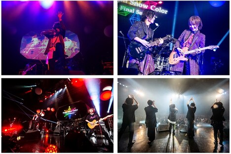 彩冷えるのライブ写真。