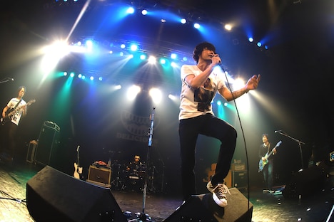 the pillows（写真提供：DELICIOUS LABEL）