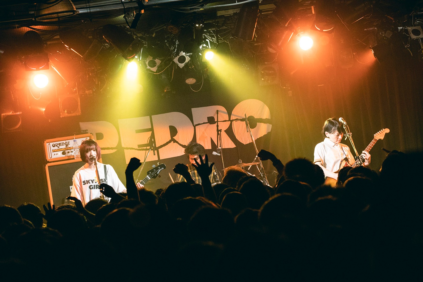 PEDRO（Photo by kenta sotobayashi）