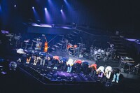 みやかわくん「大生誕祭2019 in 日本武道館」の様子。（撮影：タマイシンゴ）