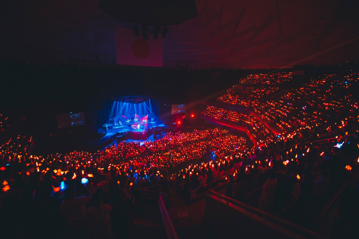 みやかわくん「大生誕祭2019 in 日本武道館」の様子。（撮影：タマイシンゴ）