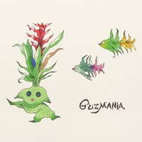 SAKANAMON「GUZMANIA」ジャケット