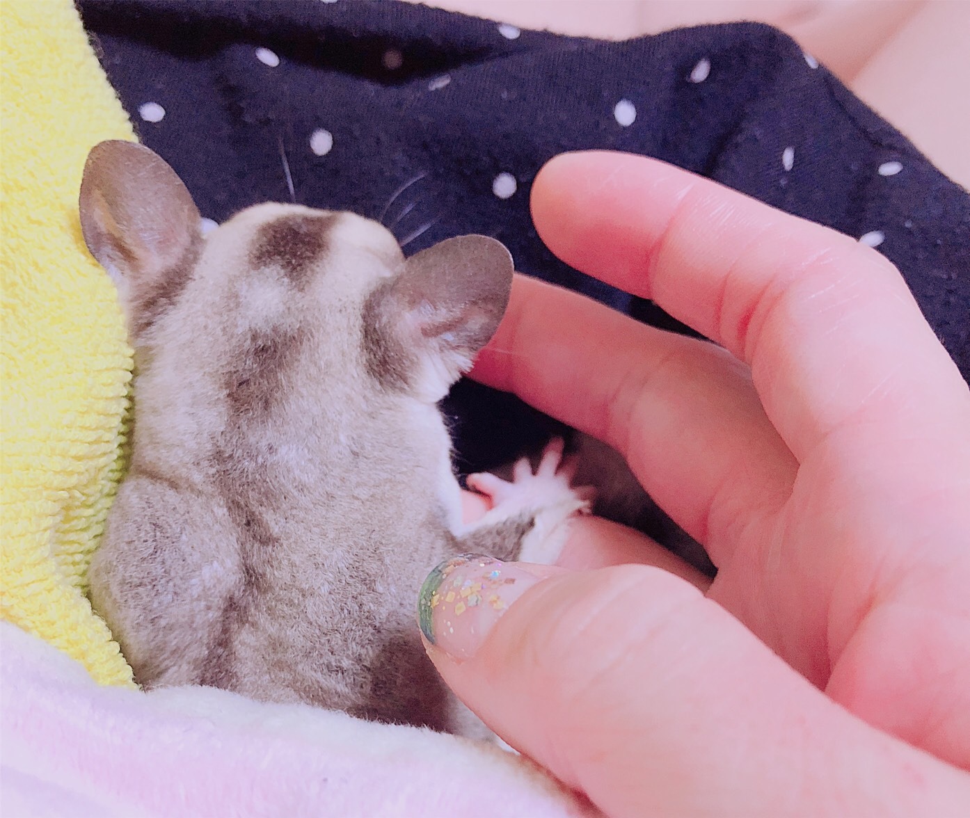 ちまき