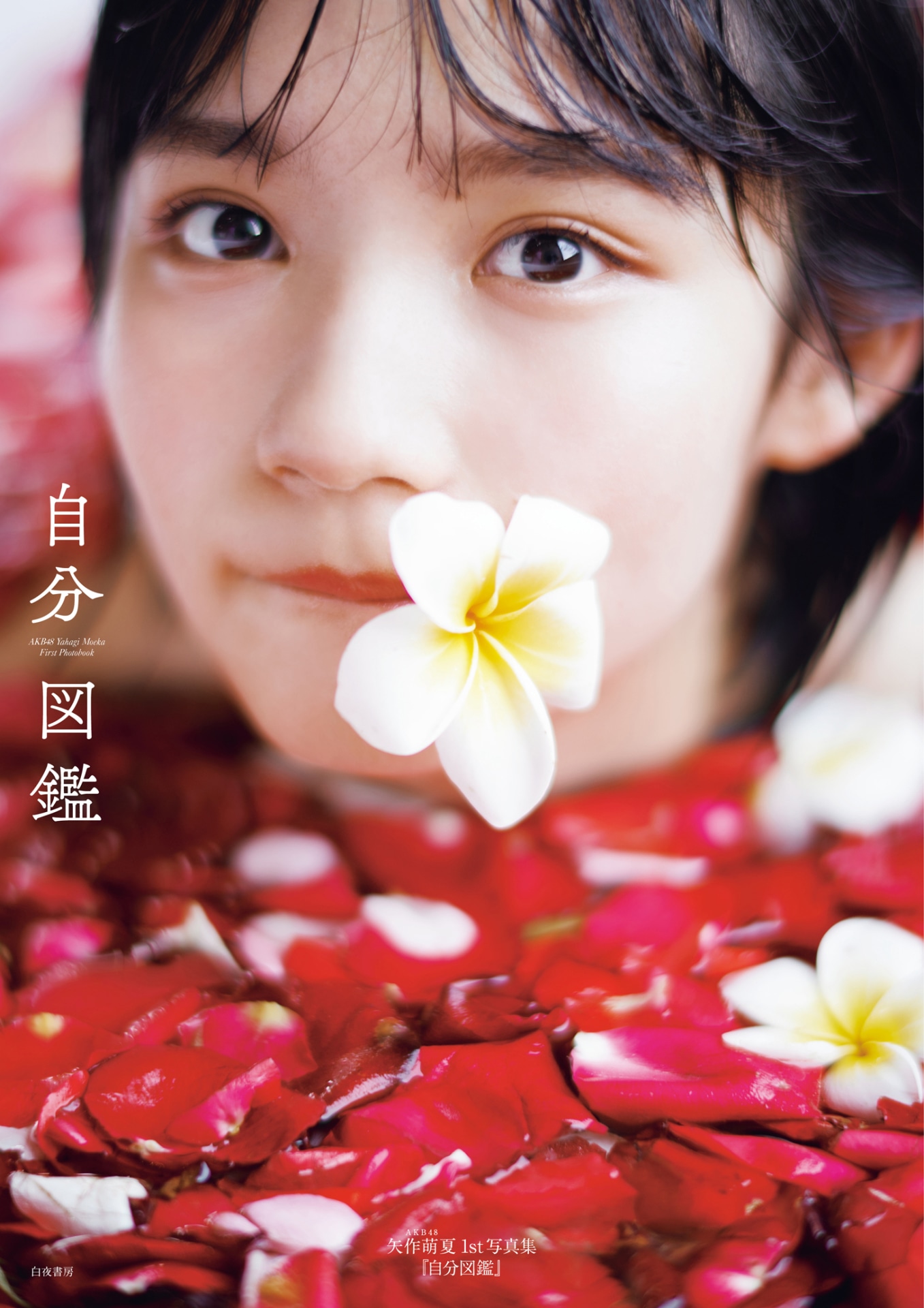 矢作萌夏「自分図鑑」表紙