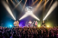 SUPER BEAVER（撮影：青木カズロー）