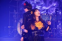 ぺいにゃむにゃむ