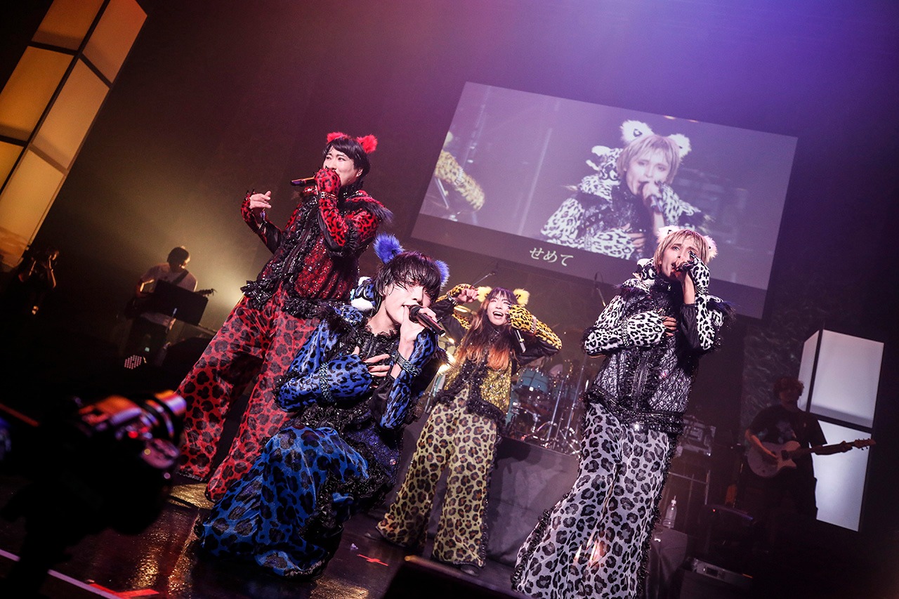 「『ゲイでもアイドルになれる！』in Zepp Tokyo」の様子。