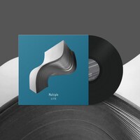 LITE「Multiple」180kg Black盤アナログジャケット