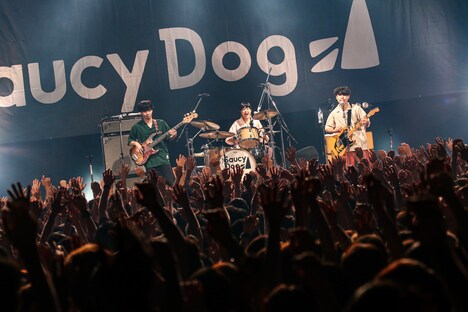 Saucy Dog（撮影：白石達也）