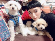 リンリンとじょこびっちとがたらっと。