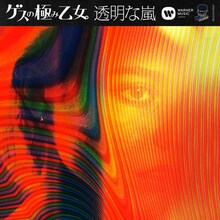 ゲスの極み乙女。「透明な嵐」ジャケット