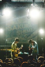 さくらしめじ（撮影：鈴木友莉）