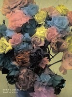 サニーデイ・サービス「Birth of a Kiss」ジャケット