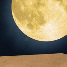 ナオト・インティライミ「まんげつの夜」ジャケット