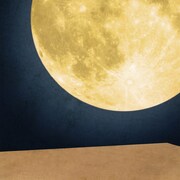 ナオトインティライミ「まんげつの夜」初回限定盤、通常盤共通ジャケット