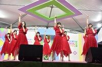 乃木坂46の4期生によるライブの様子。