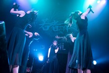 鶯籠（撮影：釘野孝宏）