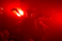 鶯籠（撮影：釘野孝宏）