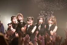 鶯籠（撮影：釘野孝宏）