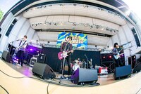 夜の本気ダンス