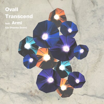 Ovall「Transcend feat. Armi（Up Dharma Down）」配信ジャケット