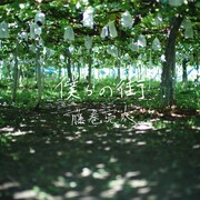 藤巻亮太「僕らの街」配信ジャケット