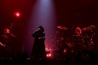 luz（撮影：小松陽祐［ODD JOB］）