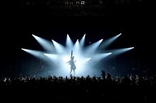 「luz 4th TOUR -FANATIC-」最終公演の様子。（撮影：小松陽祐［ODD JOB］）