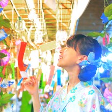 THE FOREVER YOUNG「ビューティフルユース」ジャケット