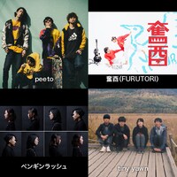 「りんご音楽祭2019」出演アーティスト第6弾。左上から時計回りにpeeto、奮酉（FURUTORI）、tiny yawn、ペンギンラッシュ。