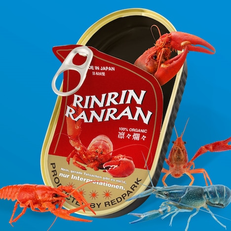 赤い公園「凛々爛々」ジャケット