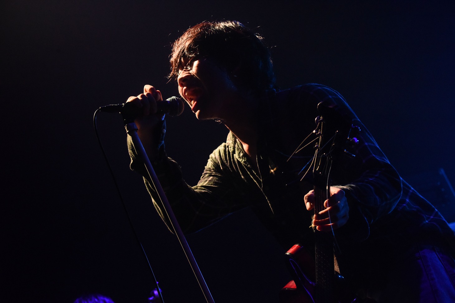 シロナカムラ（ユレニワ）（Photo by Masanori Fujikawa）