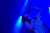 有安杏果 (c)Apricot Inc.