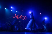 MACO「miss you summer」の様子。