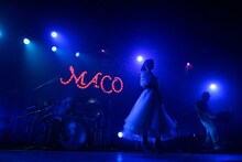 MACO「miss you summer」の様子。