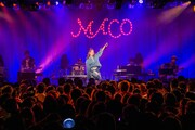 MACO「miss you summer」の様子。