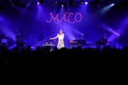 MACO「miss you summer」の様子。